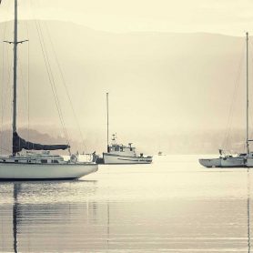Reviews and Opinions about Boat Anchorages