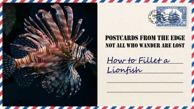 How to Fillet a Lionfish